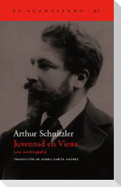 Juventud en Viena
