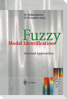Fuzzy Model Identification