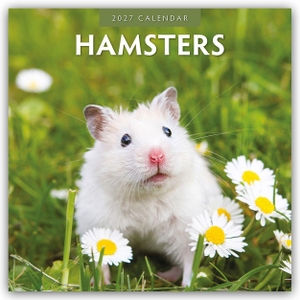 Red, Robin. Hamsters - Hamster 2027 - 16-Monatskalender - Original Red Robin Publishing Ltd-Kalender [Mehrsprachig] [Kalender]. Browntrout Verlags GmbH, 2026.