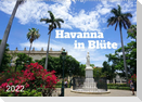 Havanna in Blüte (Wandkalender 2022 DIN A2 quer)