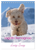 Lagotto Romagnolo - Lustige Zwerge (Tischkalender 2025 DIN A5 hoch), CALVENDO Monatskalender