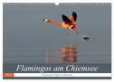 Flamingos am Chiemsee (Wandkalender 2025 DIN A3 quer), CALVENDO Monatskalender