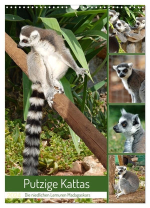 Kleemann, Claudia. Putzige Kattas (Wandkalender 2024 DIN A3 hoch), CALVENDO Monatskalender - Niedliche Lemuren aus Madagaskar. Calvendo, 2023.