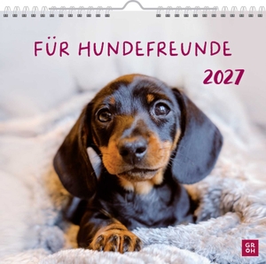 Groh Verlag (Hrsg.). Wandkalender 2027: Für Hundefreunde - Hundekalender mit niedlichen Hundefotos und Zitaten für Hundeliebhaber. Monatskalender zum Aufhängen. Groh Verlag, 2026.