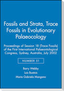 Trace Fossils in Palaeoecology