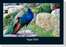 Vögel 2023 Fotokalender DIN A4