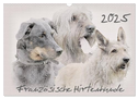 Französische Hirtenhunde 2025 (Wandkalender 2025 DIN A3 quer), CALVENDO Monatskalender