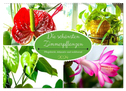 Die schönsten Zimmerpflanzen. Pflegeleicht, dekorativ und wohltuend (Wandkalender 2024 DIN A2 quer), CALVENDO Monatskalender