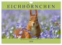 Eichhörnchen im Königlichen Garten (Wandkalender 2024 DIN A4 quer), CALVENDO Monatskalender