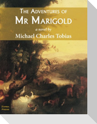 The Adventures of Mr Marigold