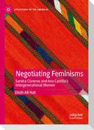 Negotiating Feminisms