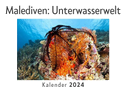 Malediven: Unterwasserwelt (Wandkalender 2024, Kalender DIN A4 quer, Monatskalender im Querformat mit Kalendarium, Das perfekte Geschenk)