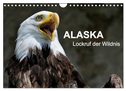 Alaska - Lockruf der Wildnis (Wandkalender 2025 DIN A4 quer), CALVENDO Monatskalender