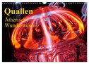 Quallen ¿ Ätherische Wunderwesen (Wandkalender 2024 DIN A3 quer), CALVENDO Monatskalender