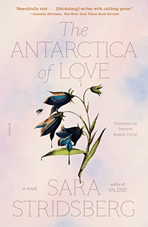 Stridsberg, Sara. The Antarctica of Love. Wattpad Webtoon Book Group, 2023.