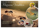 Filigrane Insekten (Tischkalender 2025 DIN A5 quer), CALVENDO Monatskalender