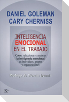 Inteligencia emocional en el trabajo : cómo seleccionar y mejorar la inteligencia emocional en individuos, grupos y organizaciones