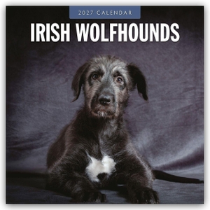 Red, Robin. Irish Wolfhounds - Irischer Wolfshund 2027 - 16-Monatskalender - Original Red Robin Publishing Ltd-Kalender [Mehrsprachig] [Kalender]. Browntrout Verlags GmbH, 2026.