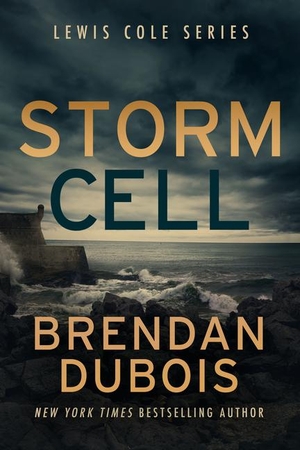 Dubois, Brendan. Storm Cell. Severn River Publishing LLC, 2024.