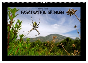 Trapp, Benny. Faszination Spinnen (Wandkalender 2024 DIN A2 quer), CALVENDO Monatskalender - Spinnen - Zwischen Ekel und Faszination. Calvendo, 2023.