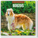 Borzois - Barsoi - Barzaia - Russischer Wolfshund 2027 - 16-Monatskalender