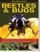Exploring Nature: Beetles & Bugs
