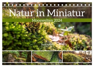 Walther, Kevin. Natur in Miniatur - Mooswelten (Tischkalender 2024 DIN A5 quer), CALVENDO Monatskalender - Naturnah und lebensgrün: Moose im Wald. Calvendo, 2023.