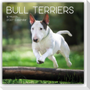 Bull Terrier 2027 - 16-Monatskalender