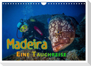 Madeira, eine Tauchreise (Wandkalender 2024 DIN A4 quer), CALVENDO Monatskalender