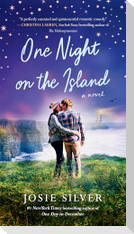 One Night on the Island