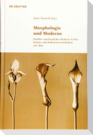 Morphologie und Moderne