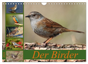 Der Birder (Wandkalender 2024 DIN A4 quer), CALVENDO Monatskalender