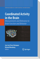 Coordinated Activity in the Brain