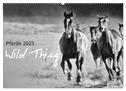 Pferde 2025 Wild Thing (Wandkalender 2025 DIN A2 quer), CALVENDO Monatskalender
