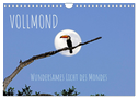 Vollmond: Wundersames Licht des Mondes (Wandkalender 2025 DIN A4 quer), CALVENDO Monatskalender