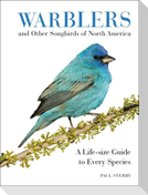 Warblers and Other Songbirds of North America