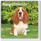 Basset Hounds 2027 - 16-Monatskalender