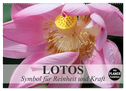 Lotos. Symbol für Reinheit und Kraft (Wandkalender 2024 DIN A2 quer), CALVENDO Monatskalender