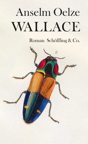 Oelze, Anselm. Wallace. Schoeffling + Co., 2019.