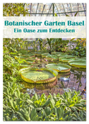Botanischer Garten Basel - Eine Oase zum Entdecken (Wandkalender 2024 DIN A2 hoch), CALVENDO Monatskalender