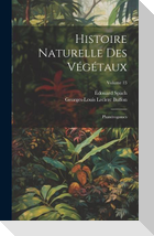 Histoire Naturelle Des Végétaux: Phanérogames; Volume 13