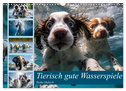 Tierisch gute Wasserspiele (Wandkalender 2024 DIN A3 quer), CALVENDO Monatskalender