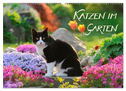 Katzen im Garten (Wandkalender 2024 DIN A2 quer), CALVENDO Monatskalender
