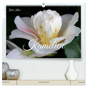 Kamelien - Blütenschönheiten (hochwertiger Premium Wandkalender 2024 DIN A2 quer), Kunstdruck in Hochglanz