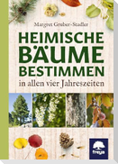 Heimische Bäume bestimmen