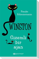 Winston - Gizemli Bir Ajan