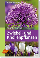 Taschenatlas Zwiebel- und Knollenpflanzen