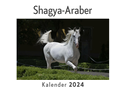 Shagya-Araber (Wandkalender 2024, Kalender DIN A4 quer, Monatskalender im Querformat mit Kalendarium, Das perfekte Geschenk)