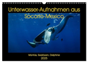 Unterwasser-Aufnahmen aus Socorro-Mexico (Wandkalender 2025 DIN A3 quer), CALVENDO Monatskalender