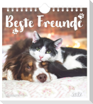 Beste Freunde 2027